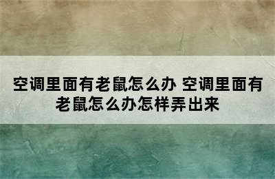 空调里面有老鼠怎么办 空调里面有老鼠怎么办怎样弄出来